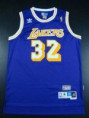 /album/los-angeles-lakers/swingman-hole-aaa0281-jpg/